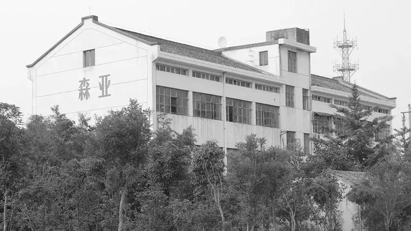 История развития