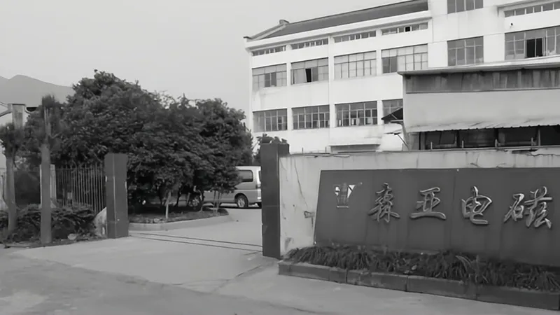 История развития