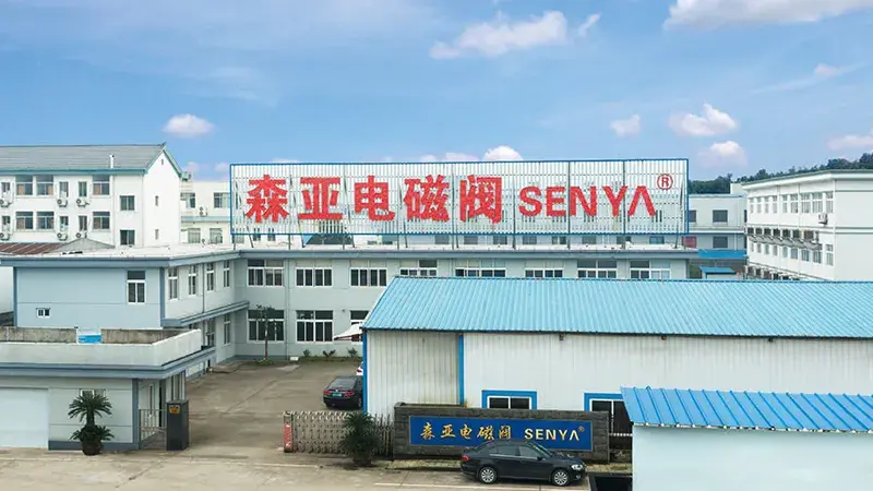 История развития