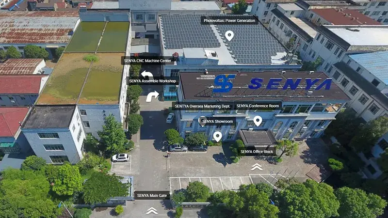 История развития