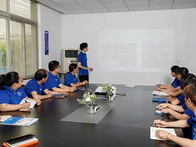 Совместная оценка и доработка проекта